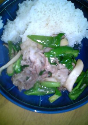 ピーマンとエリンギと豚肉の炒め物-レシピのメイン写真