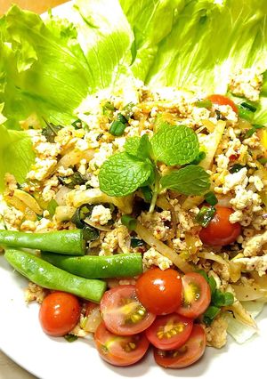 タイ風鶏肉サラダ（ラープ・ガイ）-レシピのメイン写真