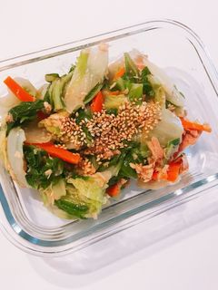 白菜のツナ和え-レシピのメイン写真