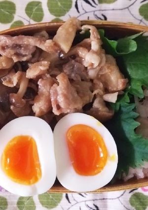 ☆わっぱ弁当生活267-レシピのメイン写真