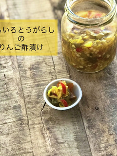 いろいろとうがらしのりんご酢漬け-レシピのメイン写真