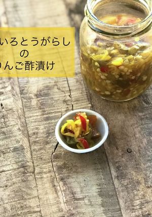 いろいろとうがらしのりんご酢漬け-レシピのメイン写真