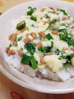 卵豆腐とネギの納豆ご飯-レシピのメイン写真