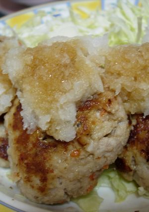 ※おからでからだにいい※バーグゥ～※-レシピのメイン写真