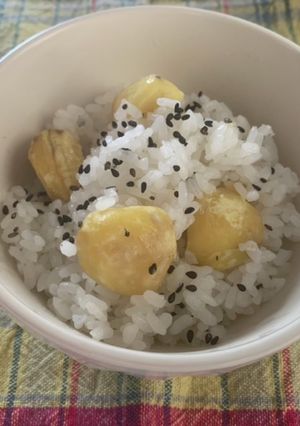土鍋で炊く栗ごはん-レシピのメイン写真