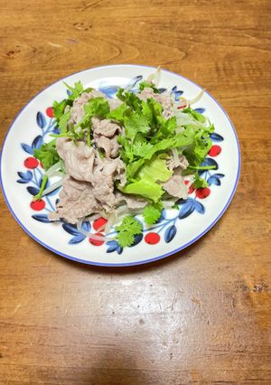 パクチーとモヤシのトンしゃぶサラダ-レシピのメイン写真