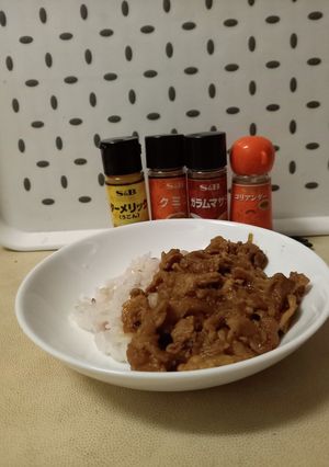 100均＋αでスパイスカレー-レシピのメイン写真