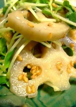 簡単☆れんこん胡麻サラダ-レシピのメイン写真