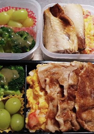 高校生息子&旦那弁当(10/8)-レシピのメイン写真