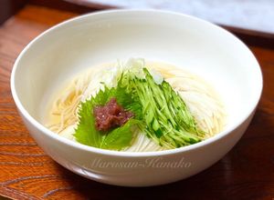 夏にぴったり冷やし稲庭うどん-レシピのメイン写真