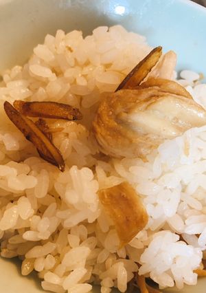 混ぜ込み型の鳥牛蒡ご飯-レシピのメイン写真