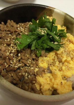 【簡単•定番】2色そぼろ丼【飯泥棒】-レシピのメイン写真