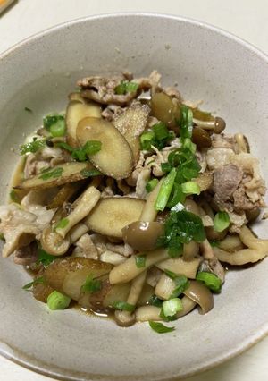 【一人暮らし】ごぼうと豚肉の甘じょっぱ煮-レシピのメイン写真
