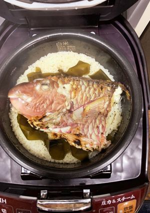 えらぶち(武鯛)の鯛めし-レシピのメイン写真