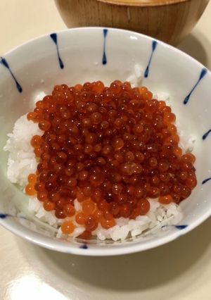 自家製いくらの醤油漬け-レシピのメイン写真