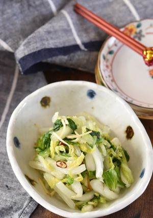 白菜と生姜の即席漬け【作り置き】-レシピのメイン写真