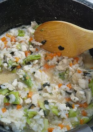 小型犬の鶏むね肉ご飯-レシピのメイン写真