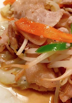 基本の肉野菜炒め-レシピのメイン写真