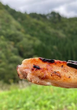 【キャンプ飯】手羽先の岩塩焼き-レシピのメイン写真