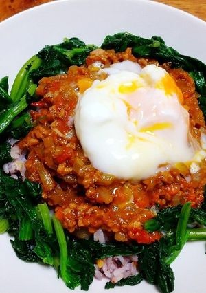 簡単!!こく旨☆ほうれん草キーマカレー☆-レシピのメイン写真