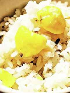 栗ご飯!皮を向くのに冷凍した!-レシピのメイン写真