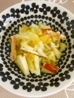 りんごと白菜のさっぱりサラダ-レシピのメイン写真