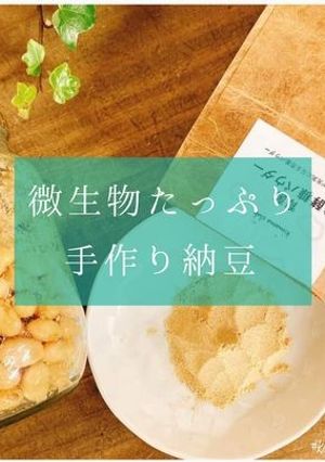 微生物たっぷり手作り納豆-レシピのメイン写真