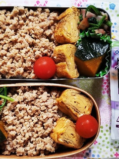 そぼろ弁当(10.14)-レシピのメイン写真