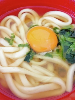 ありきたり簡単ヘルシーうどん-レシピのメイン写真