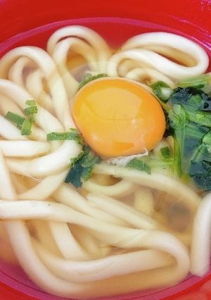 ありきたり簡単ヘルシーうどん-レシピのメイン写真