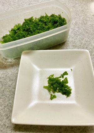 パラパラ!霜なし冷凍パセリ-レシピのメイン写真