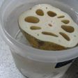 いつまでも元気なれんこんの保存方法