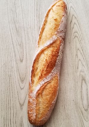 フランスパン(ヨーグルト酵母)-レシピのメイン写真