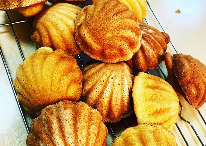 金属製 貝型コキール料理型22枚セット