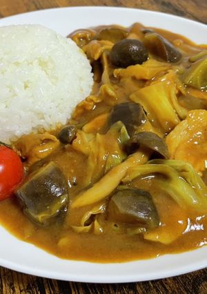 ナスとキャベツの野菜カレー-レシピのメイン写真