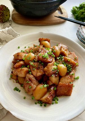 鶏肉と栗と厚揚げのほっこり煮-レシピのメイン写真