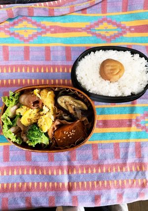 豚と卵炒め弁当　〜高校生男子弁当〜-レシピのメイン写真