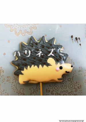 アイシングクッキー…ハリネズミ-レシピのメイン写真