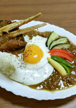愛知のジビエ　ハクビシンのカレー-レシピのメイン写真