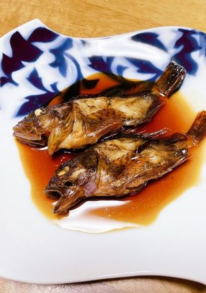 子供が釣ったカサゴの煮付け(小ぶり)-レシピのメイン写真