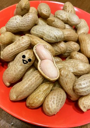 【圧力鍋で簡単】茹で落花生-レシピのメイン写真