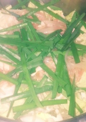 豚肉と白菜とモヤシとニラの旨辛鍋-レシピのメイン写真