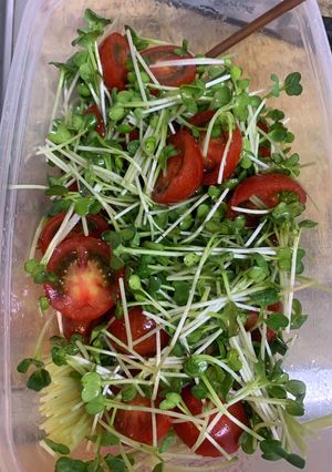 ミニトマトとカイワレの常備菜-レシピのメイン写真