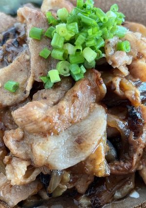 豚肉と茄子の生姜焼き☆-レシピのメイン写真