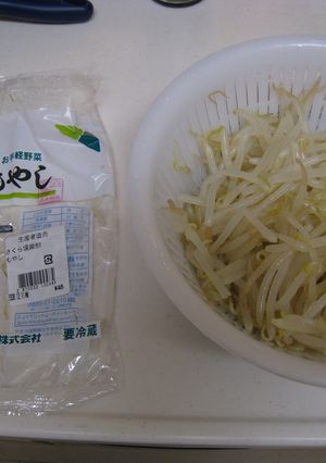 ずぼら主婦のもやしの茹で方-レシピのメイン写真