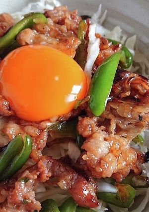 手軽なスタミナ丼-レシピのメイン写真