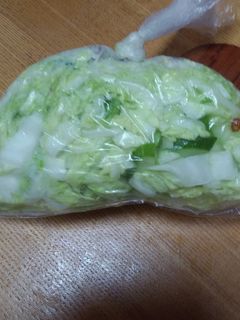 袋漬物◆柚子白菜-レシピのメイン写真