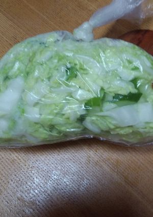 袋漬物◆柚子白菜-レシピのメイン写真