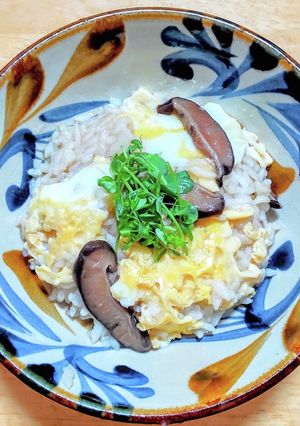 作り置き椎茸の佃煮で土鍋を使った雑炊-レシピのメイン写真