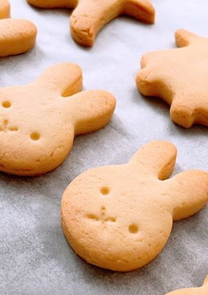 基本のプレーンクッキー-レシピのメイン写真
